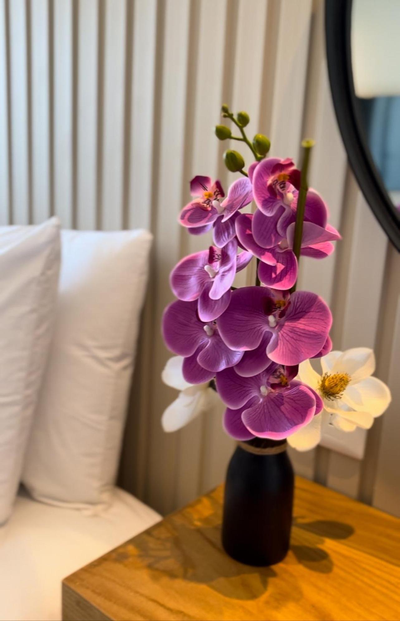 Coralia Boutique Hotel Cozumel Eksteriør billede